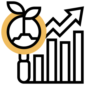 BRANDING &AMP; STRATEGY